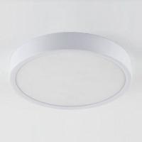 Накладной светильник Elektrostandard DLR034 a043015 фото Накладной светильник Elektrostandard DLR034 a043015. Фото №1