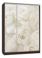 Бассо 7-600 розы (полки слева) венге фото Бассо 7-600 розы (полки слева) венге