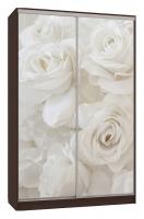 Шкаф-купе Рио 7-600 розы (полки слева) венге. Фото №1