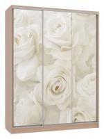 Шкаф-купе Бассо 7-600 розы (полки слева) дуб млечный Шкаф-купе Бассо 7-600 розы (полки слева) дуб млечный