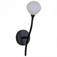 Бра Favourite Suri 2688-1W фото Бра Favourite Suri 2688-1W. Фото №1