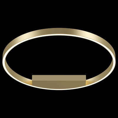 Накладной светильник Maytoni Rim MOD058CL-L35BS4K. Фото