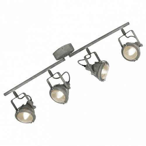 Спот Lussole Brentwood GRLSP-9882. Фото №1