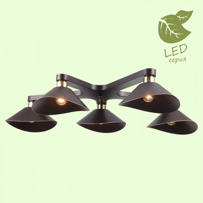 Потолочная люстра Lussole Opelika GRLSP-9535 фото Потолочная люстра Lussole Opelika GRLSP-9535. Фото №2