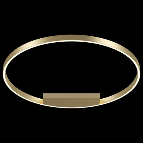 Накладной светильник Maytoni Rim MOD058CL-L50BS4K фото Накладной светильник Maytoni Rim MOD058CL-L50BS4K. Фото №2