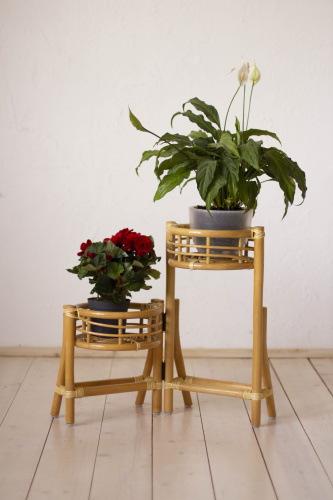 Цветочница 15/25 фото Цветочница 15/25. Фото №8