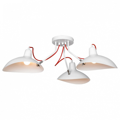 Потолочная люстра Lussole Navajo GRLSP-8126. Фото №1