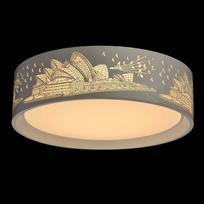 Накладной светильник MW-Light Ривз 674016001 фото Накладной светильник MW-Light Ривз 674016001. Фото №2