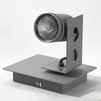 Спот Lussole Dillingham LSP-8022. Фото №2