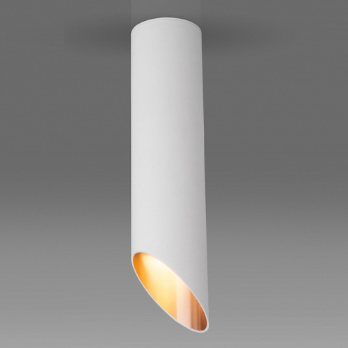 Накладной светильник Elektrostandard DLN115 a050121. Фото №1