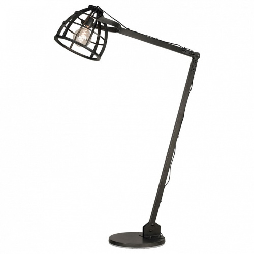 Торшер Lussole Matanuska LSP-0513. Фото №1